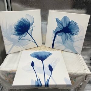 Canvas Print Artwork. set of 3